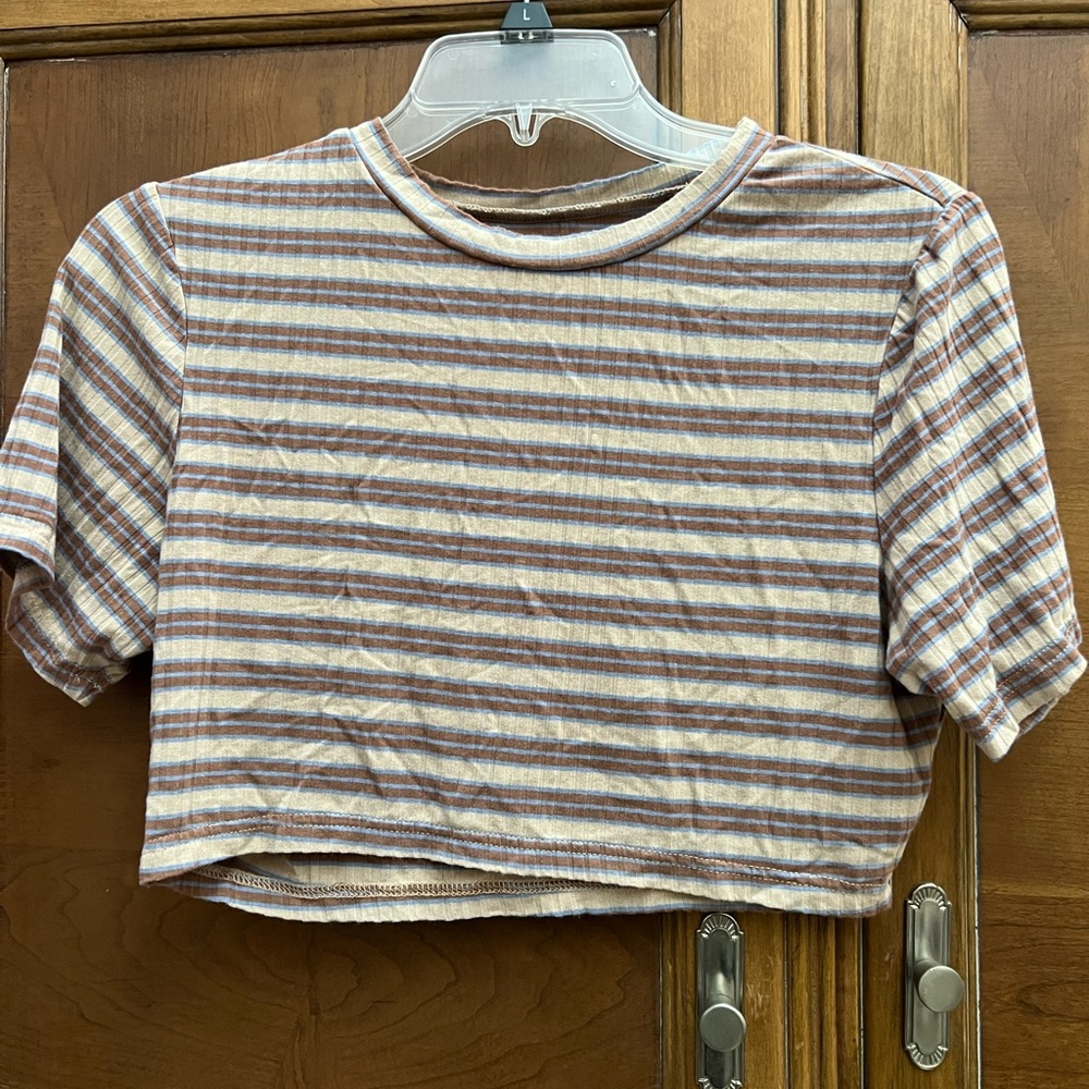 Striped Retro Crop Top